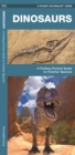 Image for Dinosaurs : A Folding Pocket Guide to Familiar Species, Their Habits and Habitats
