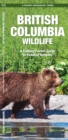 Image for British Columbia Wildlife : A Folding Pocket Guide to Familiar Species