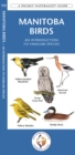 Image for Manitoba Birds : A Folding Pocket Guide to Familiar Species