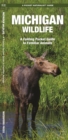 Image for Michigan Wildlife : A Folding Pocket Guide to Familiar Species