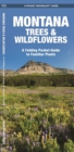 Image for Montana Trees &amp; Wildflowers : A Folding Pocket Guide to Familiar Species