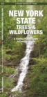 Image for New York State Trees &amp; Wildflowers : A Folding Pocket Guide to Familiar Species