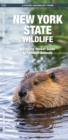 Image for New York State Wildlife