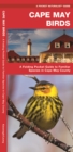 Image for Cape May Birds : A Folding Pocket Guide to Familiar Species in Cape May County