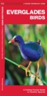 Image for Everglades Birds : A Folding Pocket Guide to Familiar Species