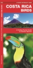 Image for Costa Rica Birds : A Folding Pocket Guide to Familiar Species