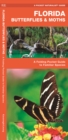 Image for Florida Butterflies &amp; Moths : A Folding Pocket Guide to Familiar Species