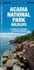 Image for Acadia National Park Wildlife : A Folding Pocket Guide to Familiar Species