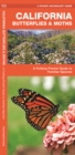 Image for California Butterflies &amp; Moths : A Folding Pocket Guide to Familiar Species