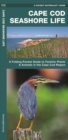 Image for Cape Cod Seashore Life : A Folding Pocket Guide to Familiar Plants &amp; Animals in the Cape Cod Region