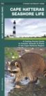 Image for Cape Hatteras Seashore Life : A Folding Pocket Guide to Familiar Plants &amp; Animals in the Cape Hatteras Region
