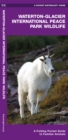 Image for Waterton-Glacier International Peace Park Wildlife : A Folding Pocket Guide to Familiar Species