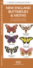 Image for New England Butterflies &amp; Moths : A Folding Pocket Guide to Familiar Species