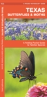 Image for Texas Butterflies &amp; Moths : A Folding Pocket Guide to Familiar Species
