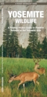 Image for Yosemite Wildlife : A Folding Pocket Guide to Familiar Species