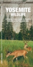 Image for Yosemite Wildlife