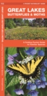 Image for Great Lakes Butterflies &amp; Moths : A Folding Pocket Guide to Familiar Species