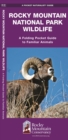 Image for Rocky Mountain National Park Wildlife : A Folding Pocket Guide to Familiar Animals