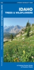 Image for Idaho Trees &amp; Wildflowers : A Folding Pocket Guide to Familiar Species