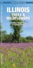 Image for Illinois Trees &amp; Wildflowers : A Folding Pocket Guide to Familiar Species