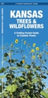 Image for Kansas Trees &amp; Wildflowers : A Folding Pocket Guide to Familiar Species