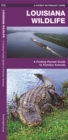 Image for Louisiana Wildlife : A Folding Pocket Guide to Familiar Species