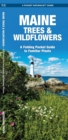 Image for Maine Trees &amp; Wildflowers : A Folding Pocket Guide to Familiar Species