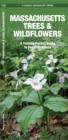 Image for Massachusetts Trees &amp; Wildflowers : A Folding Pocket Guide to Familiar Plants