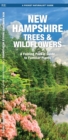 Image for New Hampshire Trees &amp; Wildflowers : A Folding Pocket Guide to Familiar Species