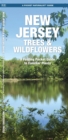 Image for New Jersey Trees &amp; Wildflowers : A Folding Pocket Guide to Familiar Species