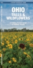 Image for Ohio Trees &amp; Wildflowers : A Folding Pocket Guide to Familiar Plants