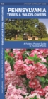Image for Pennsylvania Trees &amp; Wildflowers : A Folding Pocket Guide to Familiar Plants