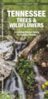 Image for Tennessee Trees &amp; Wildflowers : A Folding Pocket Guide to Familiar Species