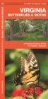 Image for Virginia Butterflies &amp; Moths : A Folding Pocket Guide to Familiar Species