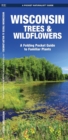 Image for Wisconsin Trees &amp; Wildflowers : A Folding Pocket Guide to Familiar Species