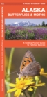 Image for Alaska Butterflies &amp; Moths : A Folding Pocket Guide to Familiar Species
