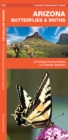 Image for Arizona Butterflies &amp; Moths : A Folding Pocket Guide to Familiar Species