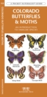 Image for Colorado Butterflies &amp; Moths : A Folding Pocket Guide to Familiar Species