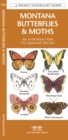Image for Montana Butterflies &amp; Moths : A Folding Pocket Guide to Familiar Species