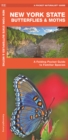 Image for New York State Butterflies &amp; Moths : A Folding Pocket Guide to Familiar Species