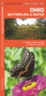 Image for Ohio Butterflies &amp; Moths : A Folding Pocket Guide to Familiar Species