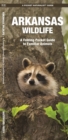 Image for Arkansas Wildlife : A Folding Pocket Guide to Familiar Species