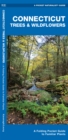 Image for Connecticut Trees &amp; Wildflowers : A Folding Pocket Guide to Familiar Plants