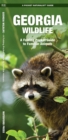 Image for Georgia Wildlife : A Folding Pocket Guide to Familiar Species