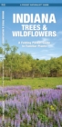 Image for Indiana Trees &amp; Wildflowers : A Folding Pocket Guide to Familiar Species