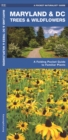 Image for Maryland &amp; DC Trees &amp; Wildflowers : A Folding Pocket Guide to Familiar Species