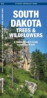 Image for South Dakota Trees &amp; Wildflowers : A Folding Pocket Guide to Familiar Species