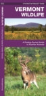 Image for Vermont Wildlife : A Folding Pocket Guide to Familiar Species