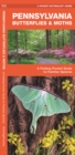 Image for Pennsylvania Butterflies &amp; Moths : A Folding Pocket Guide to Familiar Species
