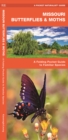 Image for Missouri Butterflies &amp; Moths : A Folding Pocket Guide to Familiar Species